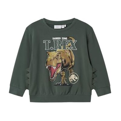 NAME IT pojkar Nmmjaba Jurassic Nreg sweat unb Sky, Trädgård topiary, 98 NAME IT pojkar Nmmjaba Jurassic Nreg sweat unb Sky, Trädgård topiary, 98