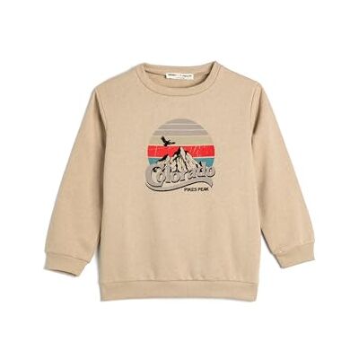 Koton pojkar långärmad crew neck tryckt detalj borstad interiör sweatshirt, Ecru (010), 7-8 År Koton pojkar långärmad crew neck tryckt detalj borstad interiör sweatshirt, Ecru (010), 7-8 År