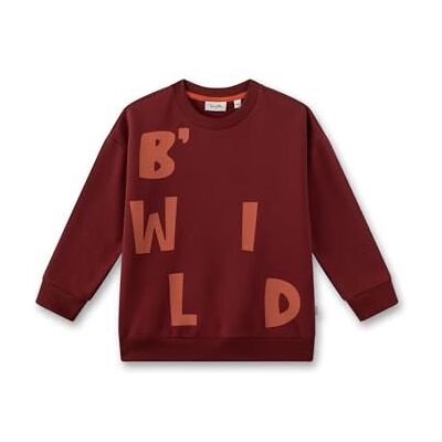 Sanetta tröja för pojkar röd Högkvalitativ och mysig tröja av ekologisk bomull pojkar. Sweatshirt med Wording Barnkläder, röd, 104 Sanetta tröja för pojkar röd Högkvalitativ och mysig tröja av ekologisk bomull pojkar. Sweatshirt med Wording Barnkläder, röd, 104