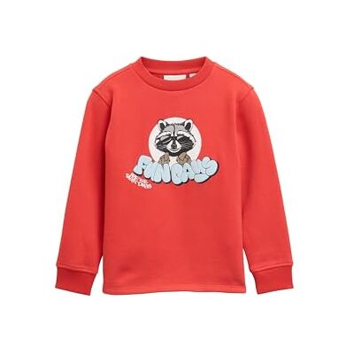TOM TAILOR Barn pojkar sweatshirt, 38337 – mjuk röd, 92-98 TOM TAILOR Barn pojkar sweatshirt, 38337 – mjuk röd, 92-98