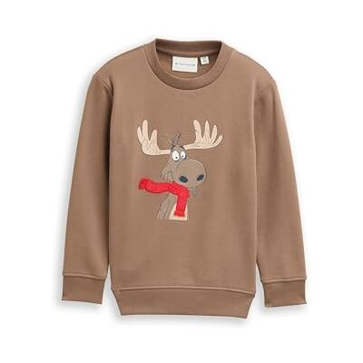 TOM TAILOR Barn pojkar sweatshirt, 36516 – Taupe Grey, 116 TOM TAILOR Barn pojkar sweatshirt, 36516 – Taupe Grey, 116