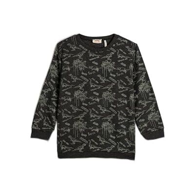 Koton Boys's Crew Neck Långärmad borstad interiör dinosaurie tryckt sweatshirt, Anthracite design (9d2), 11-12 �r Koton Boys's Crew Neck Långärmad borstad interiör dinosaurie tryckt sweatshirt, Anthracite design (9d2), 11-12 �r