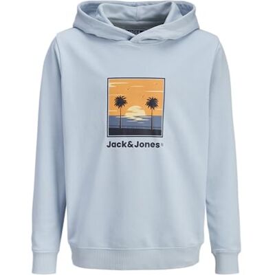 JACK & JONES Jjperry Sweat Hood Jnr, Himmelsk blå, 164 JACK & JONES Jjperry Sweat Hood Jnr, Himmelsk blå, 164
