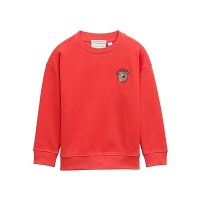 TOM TAILOR Barn pojkar sweatshirt, 38337 – mjuk röd, 92-98 TOM TAILOR Barn pojkar sweatshirt, 38337 – mjuk röd, 92-98