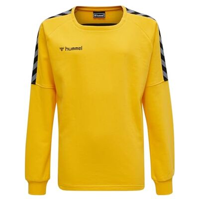 hummel pojkar Hmlautentisk barnträning tröja Sports Yellow 14 hummel pojkar Hmlautentisk barnträning tröja Sports Yellow 14