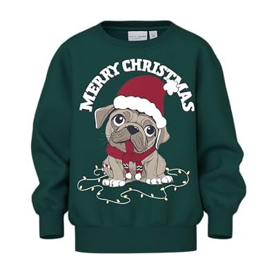 NAME IT Pojkar Nmmvismas Ls Nreg Sweat Bru Sweatshirt, Botanisk trädgård, 92 NAME IT Pojkar Nmmvismas Ls Nreg Sweat Bru Sweatshirt, Botanisk trädgård, 92