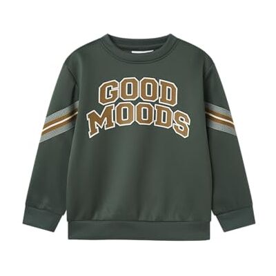 NAME IT Pojkar Nmmlancer Ls Nreg Sweat Unb, Trädgård topiary, 104 NAME IT Pojkar Nmmlancer Ls Nreg Sweat Unb, Trädgård topiary, 104