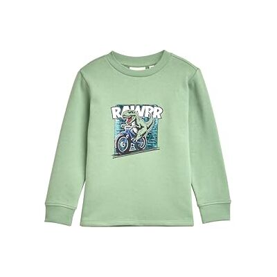 TOM TAILOR Barn pojkar sweatshirt, 19764 – Ljusgrön, 92-98 TOM TAILOR Barn pojkar sweatshirt, 19764 – Ljusgrön, 92-98