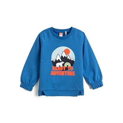 Koton Babypojkar Nature Themed tryckt crew neck elastisk manschett sweatshirt, Saxe (968), 3-4 År Koton Babypojkar Nature Themed tryckt crew neck elastisk manschett sweatshirt, Saxe (968), 3-4 År