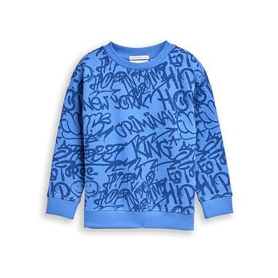 TOM TAILOR Barn pojkar sweatshirt, 38343 – Blue Shaded Spray Design, 92-98 TOM TAILOR Barn pojkar sweatshirt, 38343 – Blue Shaded Spray Design, 92-98