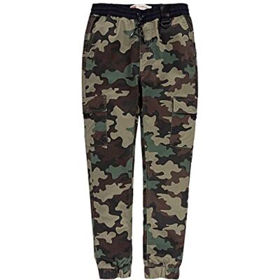 Levi's Kids Fleecebyxor för pojkar 9EG761 byxor utan denim, skogsbiome, 14 år, Cypress Camo, 24 månader Levi's Kids Fleecebyxor för pojkar 9EG761 byxor utan denim, skogsbiome, 14 år, Cypress Camo, 24 månader