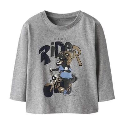 NAME IT Nmmbill LS Nreg Top Box, 98 Barn och ungdomar Grå, Grå, 98 NAME IT Nmmbill LS Nreg Top Box, 98 Barn och ungdomar Grå, Grå, 98
