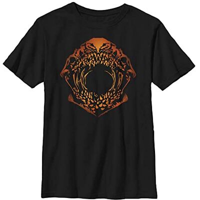 Stranger Things Unisex barn Mind Flayer Pumpkin Face kortärmad T-shirt, svart, en storlek, svart, XS Stranger Things Unisex barn Mind Flayer Pumpkin Face kortärmad T-shirt, svart, en storlek, svart, XS