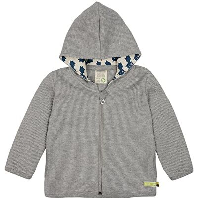 loud + proud Unisex barn våffla, GOTS-certifierad, Made in Germany sweatjacka, grå, 98/104 loud + proud Unisex barn våffla, GOTS-certifierad, Made in Germany sweatjacka, grå, 98/104