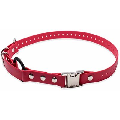 Educator Lärare Quick Snap Bungee halsband Educator Lärare Quick Snap Bungee halsband