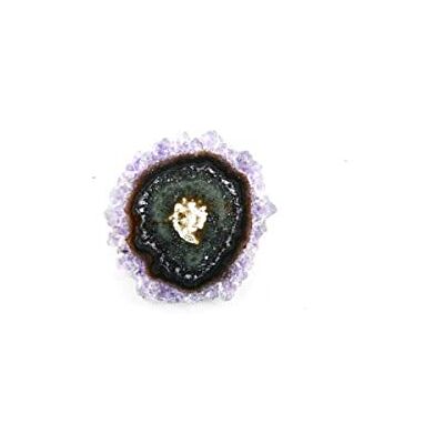 Mineral Import Panarea Dam Örhängen OS9OX (3 cm), 3 cm, Plast, Ingen ädelsten Mineral Import Panarea Dam Örhängen OS9OX (3 cm), 3 cm, Plast, Ingen ädelsten