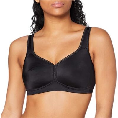 Susa Dam standard BH Susa Dam standard BH