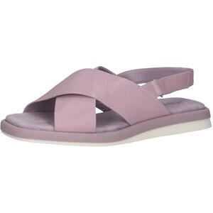 CAPRICE Damer 9-28102-42 platta sandaler, lavendel mjuk, 37 EU, Lavendel mjuk, 37 EU CAPRICE Damer 9-28102-42 platta sandaler, lavendel mjuk, 37 EU, Lavendel mjuk, 37 EU