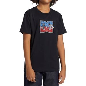DC Shoes DC skor pojke DC stjärna inline ss pojke t-shirt DC Shoes DC skor pojke DC stjärna inline ss pojke t-shirt