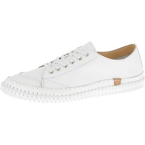 Andrea Conti dam låga topp sneakers sneakers, Vit, 36 EU Andrea Conti dam låga topp sneakers sneakers, Vit, 36 EU