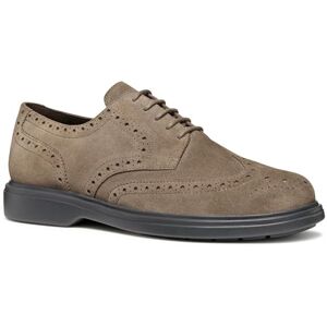 Geox Män U OTTAVIO Oxford, grå, 43 EU, GRÅ, 43 EU Geox Män U OTTAVIO Oxford, grå, 43 EU, GRÅ, 43 EU