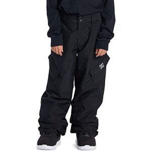 DC Shoes Banshee Snow teknisk byxa för barn DC Shoes Banshee Snow teknisk byxa för barn