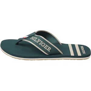 Tommy Hilfiger herr flip-flops sportig strandsandal, Grön jägare, 40 EU Tommy Hilfiger herr flip-flops sportig strandsandal, Grön jägare, 40 EU