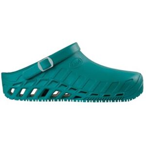 Scholl Unisex Clog EvoMedical Professional Clog, Smaragd, 10.5 UK Men/ 11 UK Women Scholl Unisex Clog EvoMedical Professional Clog, Smaragd, 10.5 UK Men/ 11 UK Women