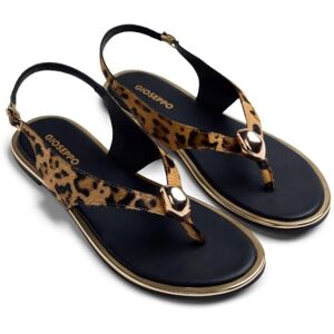 GIOSEPPO dam Mumias T-rem, leopard, 5 UK GIOSEPPO dam Mumias T-rem, leopard, 5 UK
