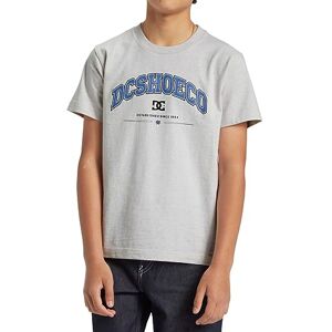 DC Shoes Orientering Ss Boy T-shirt för män (set om 1) DC Shoes Orientering Ss Boy T-shirt för män (set om 1)