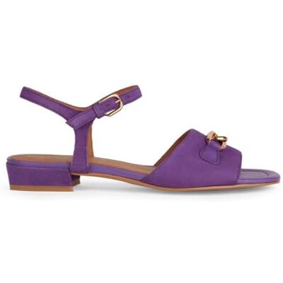 Geox Damer D New ERAKLIA 15 platt sandal, lila, 37,5 EU, lila, 37.5 EU Geox Damer D New ERAKLIA 15 platt sandal, lila, 37,5 EU, lila, 37.5 EU