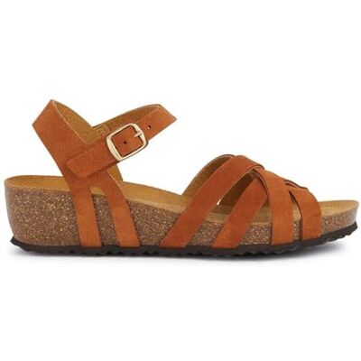 Geox Dam D STHELLAE B Slide Sandal, konjak, 37 EU, konjak, 37 EU Geox Dam D STHELLAE B Slide Sandal, konjak, 37 EU, konjak, 37 EU