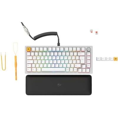 GLORIOUS Gaming GMMK PRO 75% – TKL modulärt mekaniskt gaming-tangentbord, 1,5 kg grundstruktur, helt anpassningsbar, spiralkabel, handledsstöd, PBT-tangentkåpor GLORIOUS Gaming GMMK PRO 75% – TKL modulärt mekaniskt gaming-tangentbord, 1,5 kg grundstruktur, helt anpassningsbar, spiralkabel, handledsstöd, PBT-tangentkåpor