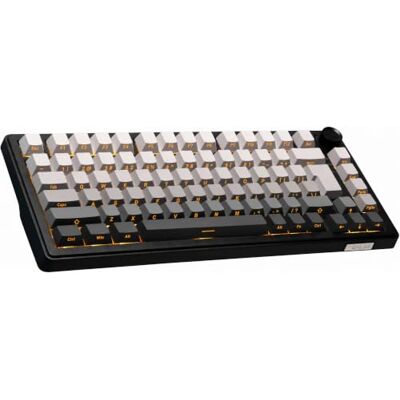 THE G-LAB KEYZ ELITE 300 GRG US QWERTY mekaniskt speltangentbord Trådlöst speltangentbord Mekaniskt Hot-Swappable-omkopplare, Frontprint tangenter, 2,4G/BT/trådbunden, RGB & Macro, Win/Mac THE G-LAB KEYZ ELITE 300 GRG US QWERTY mekaniskt speltangentbord Trådlöst speltangentbord Mekaniskt Hot-Swappable-omkopplare, Frontprint tangenter, 2,4G/BT/trådbunden, RGB & Macro, Win/Mac