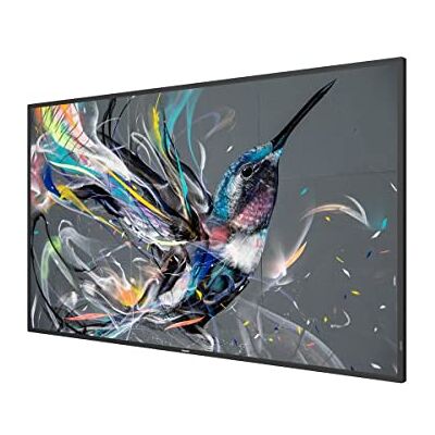 Philips Dis Public 55 kompatibel 55BDL3511Q/00 Q-Line Philips Dis Public 55 kompatibel 55BDL3511Q/00 Q-Line