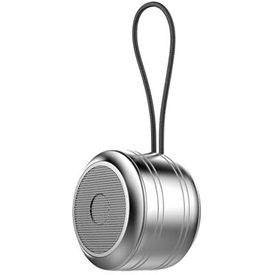 Rawrr Bluetooth-högtalare, bärbar utomhus mini Bluetooth-låda, handsfree-funktion för telefon, enormer med basdrivrutiner, högtalare för hem, utomhus, trädgård, silver Rawrr Bluetooth-högtalare, bärbar utomhus mini Bluetooth-låda, handsfree-funktion för telefon, enormer med basdrivrutiner, högtalare för hem, utomhus, trädgård, silver