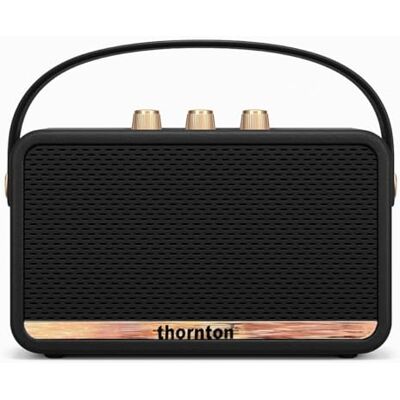 Thornton Flow Bluetooth-högtalare – bärbar trådlös IP67 vattentät stereohögtalare, 5 timmars speltid, USB-C-laddning, retrodesign med guldkontroller Thornton Flow Bluetooth-högtalare – bärbar trådlös IP67 vattentät stereohögtalare, 5 timmars speltid, USB-C-laddning, retrodesign med guldkontroller