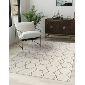 Unique Loom Trellis Frieze samling område matta – modern marroccan inspirerad geometrisk gitterdesign (5 tum 0 x 8 tum 0 rektangulär, elfenben/grå) Unique Loom Trellis Frieze samling område matta – modern marroccan inspirerad geometrisk gitterdesign (5 tum 0 x 8 tum 0 rektangulär, elfenben/grå)