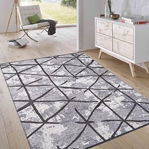 Jimri kort lugg vändmatta – platt vävd matta för sovrum och vardagsrum, entré, hall – maskintillverkad, mjuk polyester och bomullslöpare – ljusgrå, storlek: 115 x 170 cm Jimri kort lugg vändmatta – platt vävd matta för sovrum och vardagsrum, entré, hall – maskintillverkad, mjuk polyester och bomullslöpare – ljusgrå, storlek: 115 x 170 cm