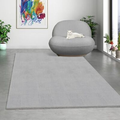 Mias Teppiche Mia´s Mattor komfort modern fluffig kort lugg matta, halkfri undersida, tvättbar upp till 30 grader, supermjuk pälsoptik, grå, 160 x 220 cm Mias Teppiche Mia´s Mattor komfort modern fluffig kort lugg matta, halkfri undersida, tvättbar upp till 30 grader, supermjuk pälsoptik, grå, 160 x 220 cm