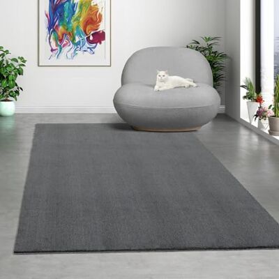 Mias Teppiche Mia´s Mattor komfort modern fluffig kort lugg matta, halkfri undersida, tvättbar upp till 30 grader, supermjuk pälsoptik, antracit, 120 x 160 cm Mias Teppiche Mia´s Mattor komfort modern fluffig kort lugg matta, halkfri undersida, tvättbar upp till 30 grader, supermjuk pälsoptik, antracit, 120 x 160 cm