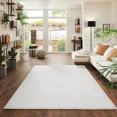 Jimri Högkvalitativ fluffig matta med kort lugg för hem, kontor, kök, entré, hall, vardagsrum, maskintvättbar, halkfri, tvättbar, 80 x 150 cm, krämfärgad och Jimri Högkvalitativ fluffig matta med kort lugg för hem, kontor, kök, entré, hall, vardagsrum, maskintvättbar, halkfri, tvättbar, 80 x 150 cm, krämfärgad och
