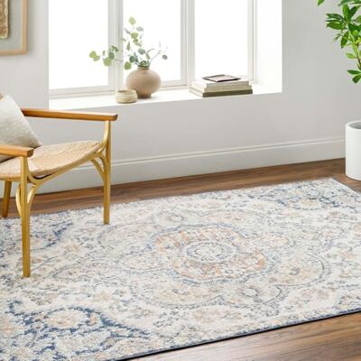 Livabliss Rabat vintage matta – mattor för vardagsrum 160 x 230 cm, sovrum – Scandi neutrala mattor, traditionell mönstrad boho-stil, naturlig lättskött lugg – stor matta, blå och korall Livabliss Rabat vintage matta – mattor för vardagsrum 160 x 230 cm, sovrum – Scandi neutrala mattor, traditionell mönstrad boho-stil, naturlig lättskött lugg – stor matta, blå och korall