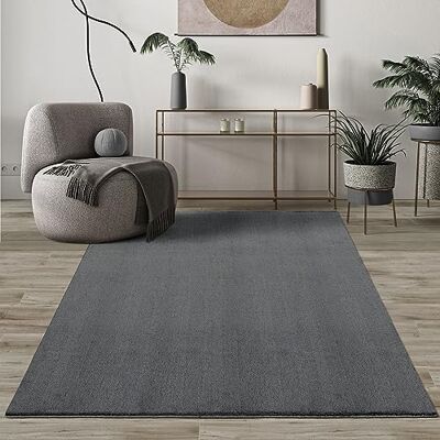 Mias Teppiche Paco Home Mias mattor komfort modern fluffig kort lugg matta, halkfri undersida, tvättbar upp till 30 grader, supermjuk pälsoptik, röd, 240 x 340 cm Mias Teppiche Paco Home Mias mattor komfort modern fluffig kort lugg matta, halkfri undersida, tvättbar upp till 30 grader, supermjuk pälsoptik, röd, 240 x 340 cm