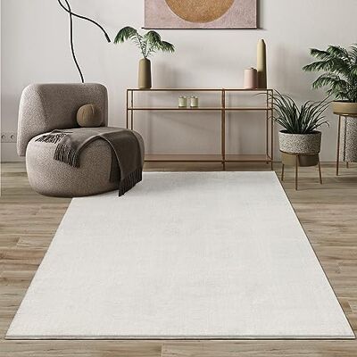 Mias Teppiche Paco Home Mias mattor komfort modern fluffig kort lugg matta, halkfri undersida, tvättbar upp till 30 grader, supermjuk, pälsoptik, terra, 240 x 340 cm Mias Teppiche Paco Home Mias mattor komfort modern fluffig kort lugg matta, halkfri undersida, tvättbar upp till 30 grader, supermjuk, pälsoptik, terra, 240 x 340 cm