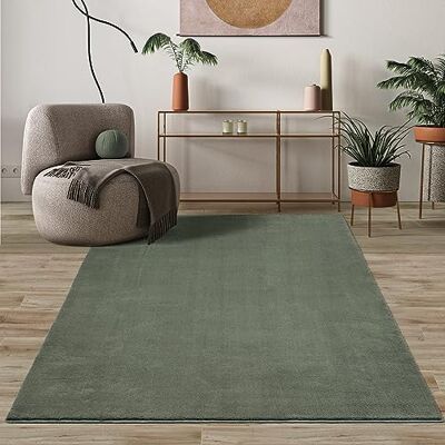 Mias Teppiche Mia's mattor komfort modern fluffig kort lugg matta, halkfri undersida, tvättbar upp till 30 grader, supermjuk pälsoptik, skog, 120 cm rund Mias Teppiche Mia's mattor komfort modern fluffig kort lugg matta, halkfri undersida, tvättbar upp till 30 grader, supermjuk pälsoptik, skog, 120 cm rund