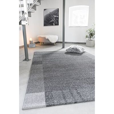 andiamo matta Le Havre, webmatta, toalettmatta, mjuk, vardagsrum, sovrum, korridor, matsal, 100% polypropylen, föroreningsfri 160x230 cm Bordüre Grau andiamo matta Le Havre, webmatta, toalettmatta, mjuk, vardagsrum, sovrum, korridor, matsal, 100% polypropylen, föroreningsfri 160x230 cm Bordüre Grau