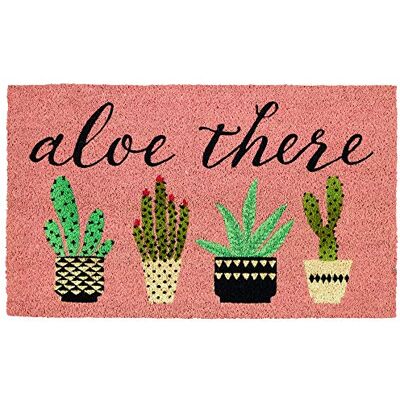 DII Naturlig kokos dörrmatta, dekorativ hej matta, aloe där, 18 x 30 DII Naturlig kokos dörrmatta, dekorativ hej matta, aloe där, 18 x 30