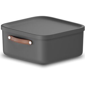 Rotho Maloja Förvaringslåda 20 l, plast (PP återvunnen), 20 (39,5 x 38,0 x 17,7 cm) Rotho Maloja Förvaringslåda 20 l, plast (PP återvunnen), 20 (39,5 x 38,0 x 17,7 cm)