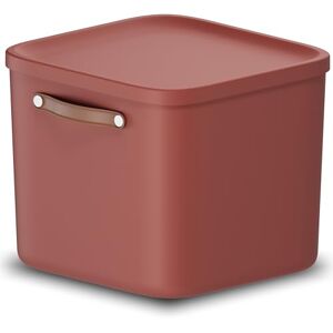 Rotho Maloja Förvaringslåda 40 l, plast (PP återvunnen), 40 (39,5 x 38 x 34 cm) Rotho Maloja Förvaringslåda 40 l, plast (PP återvunnen), 40 (39,5 x 38 x 34 cm)